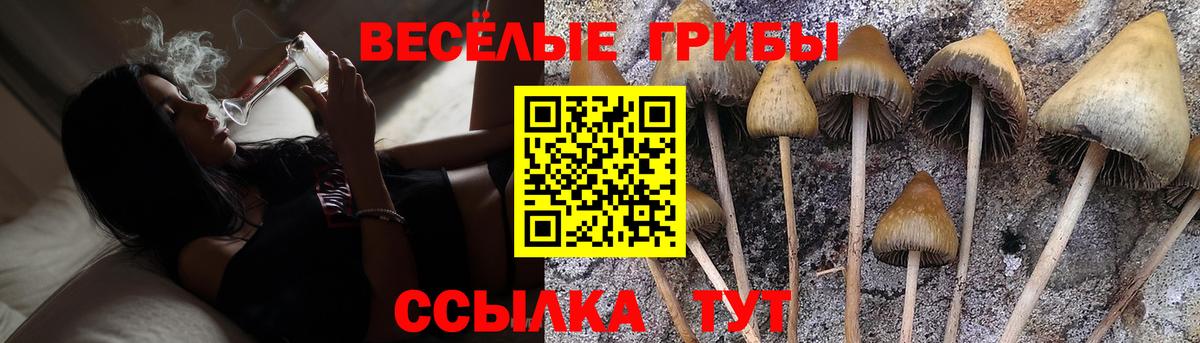 Хабаровск  Галлюциногенные грибы Magic Shrooms  Вход с VPN 